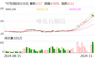 *ST东园连续两日涨幅偏离值累计超12%