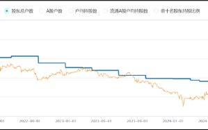 晨鸣纸业爆雷背后：南粤银行与南方基金疑似踩雷 国企现家族式管理层