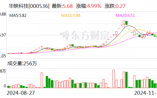 华映科技：将母公司部分模组产线转让给全资子公司