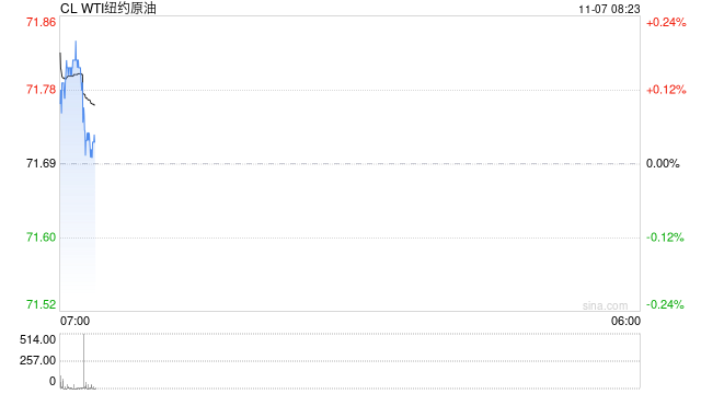 原油：WTI小幅下跌 交易员苦思冥想特朗普会带来什么影响