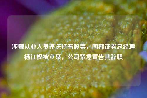 涉嫌从业人员违法持有股票，国都证券总经理杨江权被立案，公司紧急宣告其辞职