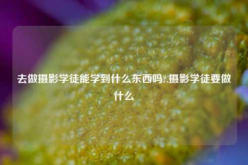 去做摄影学徒能学到什么东西吗?,摄影学徒要做什么