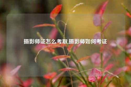 摄影师证怎么考取,摄影师如何考证