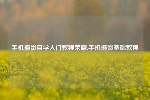 手机摄影自学入门教程荣耀,手机摄影基础教程