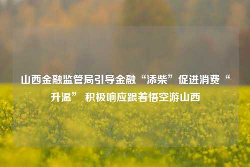 山西金融监管局引导金融“添柴”促进消费“升温” 积极响应跟着悟空游山西