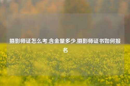 摄影师证怎么考,含金量多少,摄影师证书如何报名