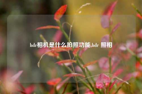 hdr相机是什么拍照功能,hdr 照相