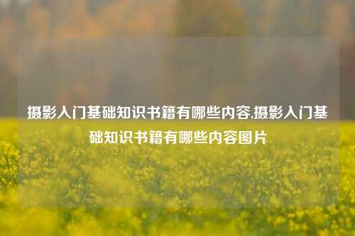 摄影入门基础知识书籍有哪些内容,摄影入门基础知识书籍有哪些内容图片