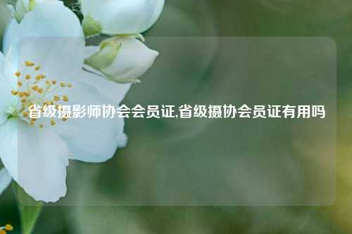 省级摄影师协会会员证,省级摄协会员证有用吗