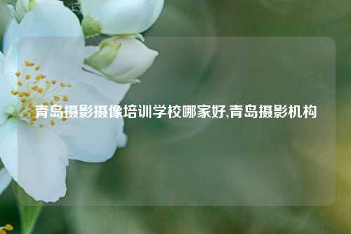 青岛摄影摄像培训学校哪家好,青岛摄影机构