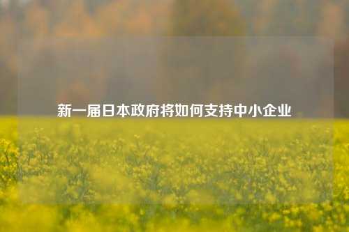 新一届日本政府将如何支持中小企业