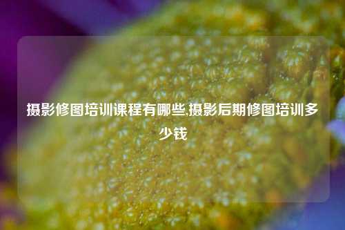 摄影修图培训课程有哪些,摄影后期修图培训多少钱