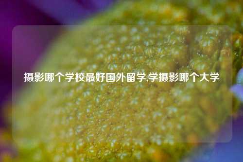 摄影哪个学校最好国外留学,学摄影哪个大学