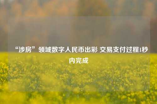 “涉房”领域数字人民币出彩 交易支付过程1秒内完成