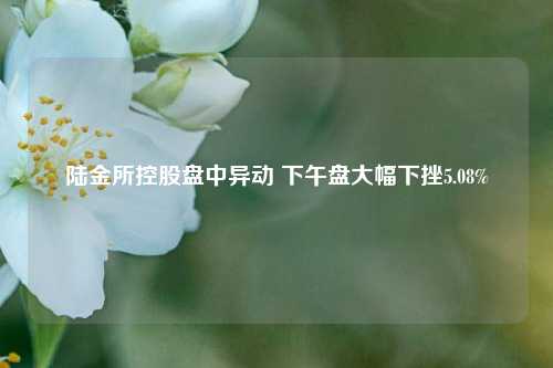 陆金所控股盘中异动 下午盘大幅下挫5.08%