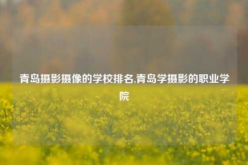 青岛摄影摄像的学校排名,青岛学摄影的职业学院