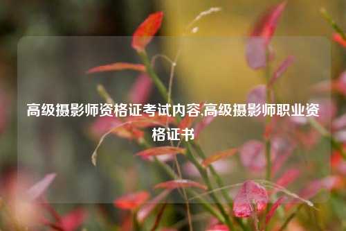 高级摄影师资格证考试内容,高级摄影师职业资格证书