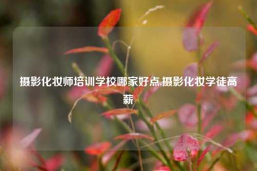 摄影化妆师培训学校哪家好点,摄影化妆学徒高薪