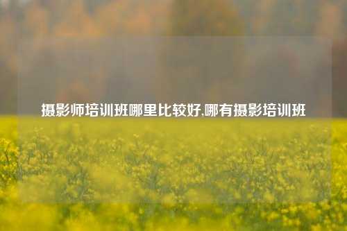 摄影师培训班哪里比较好,哪有摄影培训班