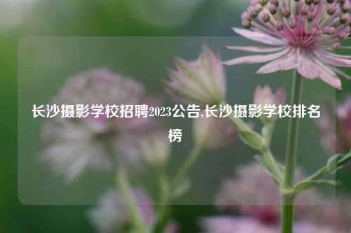 长沙摄影学校招聘2023公告,长沙摄影学校排名榜