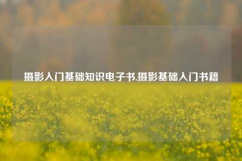 摄影入门基础知识电子书,摄影基础入门书籍