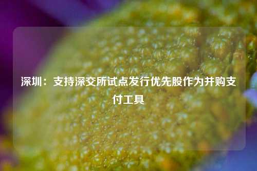 深圳：支持深交所试点发行优先股作为并购支付工具