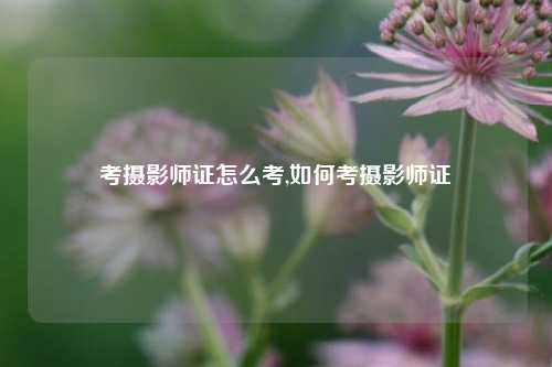 考摄影师证怎么考,如何考摄影师证