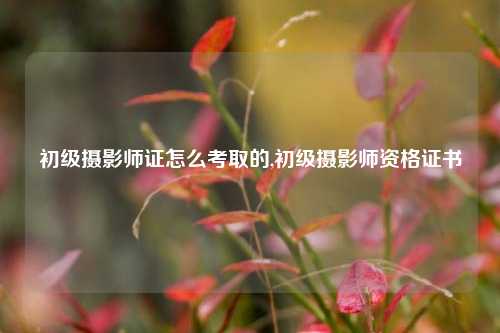 初级摄影师证怎么考取的,初级摄影师资格证书