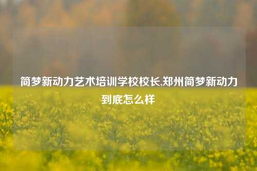 简梦新动力艺术培训学校校长,郑州简梦新动力到底怎么样