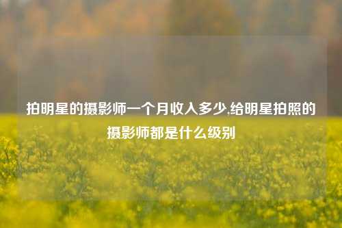 拍明星的摄影师一个月收入多少,给明星拍照的摄影师都是什么级别