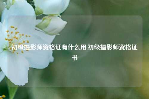 初级摄影师资格证有什么用,初级摄影师资格证书