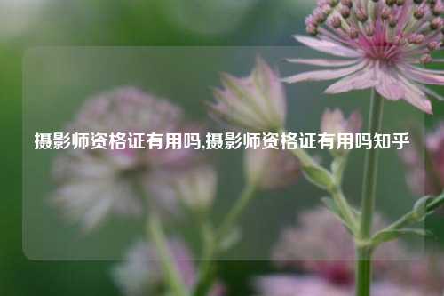 摄影师资格证有用吗,摄影师资格证有用吗知乎