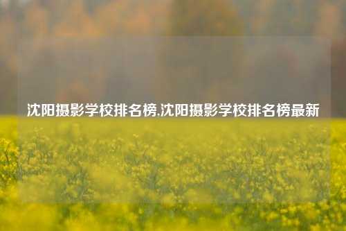 沈阳摄影学校排名榜,沈阳摄影学校排名榜最新