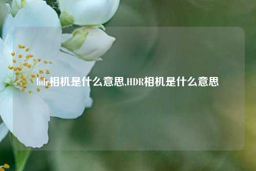 hdr相机是什么意思,HDR相机是什么意思