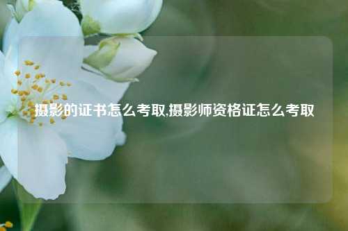 摄影的证书怎么考取,摄影师资格证怎么考取