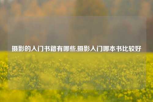 摄影的入门书籍有哪些,摄影入门哪本书比较好