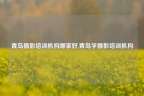 青岛摄影培训机构哪家好,青岛学摄影培训机构