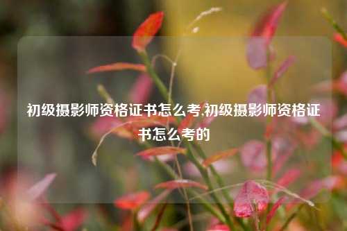 初级摄影师资格证书怎么考,初级摄影师资格证书怎么考的