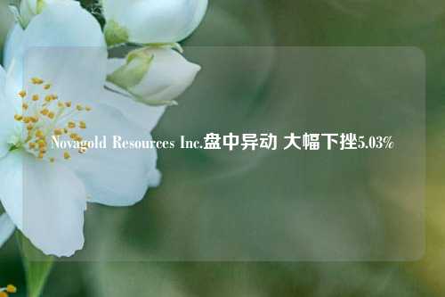 Novagold Resources Inc.盘中异动 大幅下挫5.03%