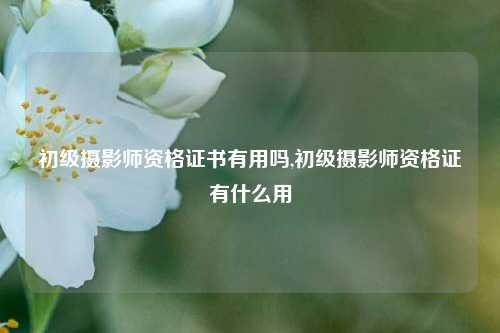 初级摄影师资格证书有用吗,初级摄影师资格证有什么用