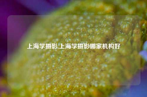 上海学摄影,上海学摄影哪家机构好