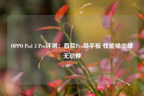 OPPO Pad 3 Pro评测：首款Pro级平板 性能输出肆无忌惮