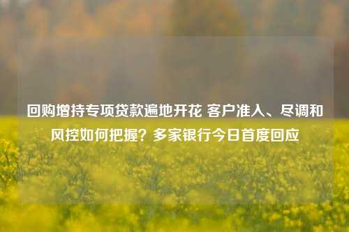 回购增持专项贷款遍地开花 客户准入、尽调和风控如何把握？多家银行今日首度回应