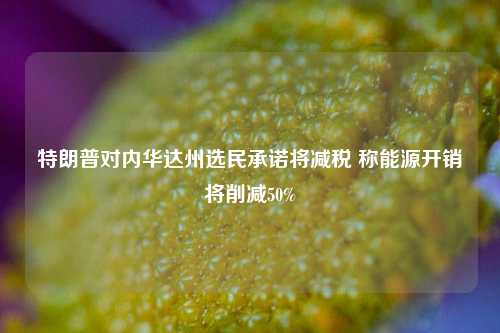 特朗普对内华达州选民承诺将减税 称能源开销将削减50%