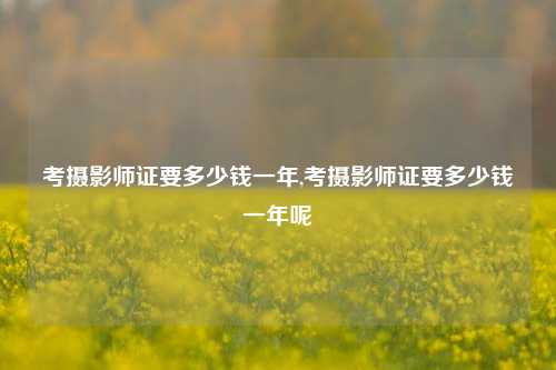 考摄影师证要多少钱一年,考摄影师证要多少钱一年呢