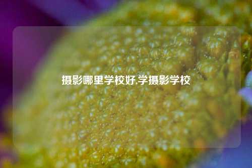 摄影哪里学校好,学摄影学校