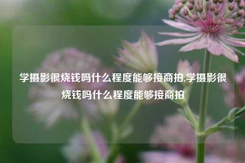 学摄影很烧钱吗什么程度能够接商拍,学摄影很烧钱吗什么程度能够接商拍