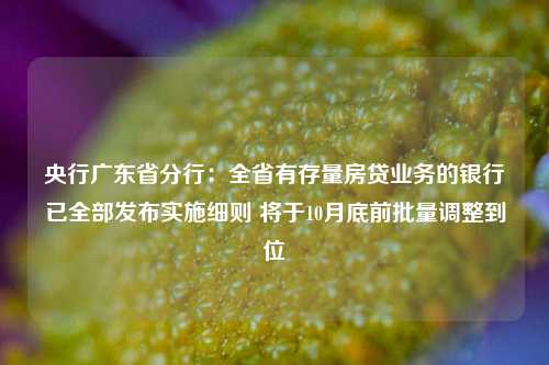 央行广东省分行：全省有存量房贷业务的银行已全部发布实施细则 将于10月底前批量调整到位