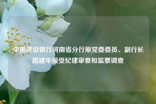 中国建设银行河南省分行原党委委员、副行长路建华接受纪律审查和监察调查