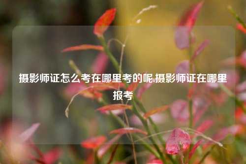 摄影师证怎么考在哪里考的呢,摄影师证在哪里报考